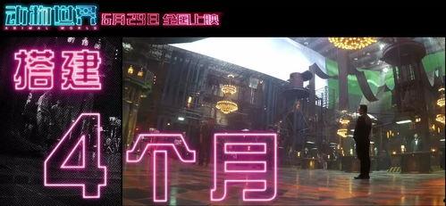 最新国产福利视频,展现中国影视新风采  第3张